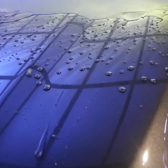 Protective Car Wash And Wax